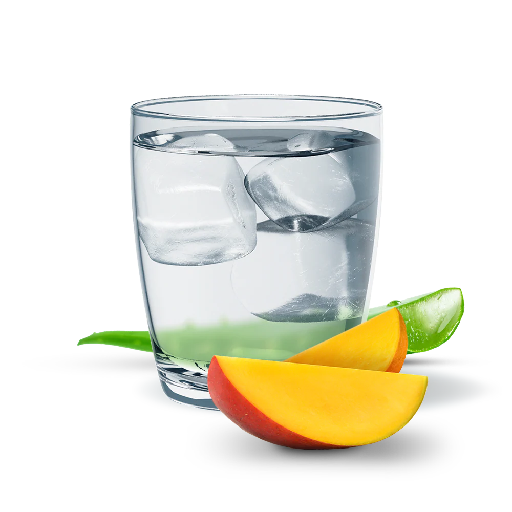 Aloe concentrato alle erbe Aloe Gusto Mango 1,89 l