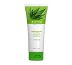 Herbal Aloe Shampoo Fortificante (250 ml)